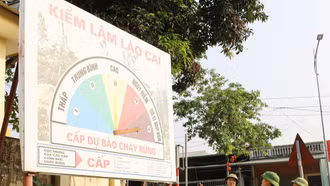 Tăng cường bảo vệ rừng trước nguy cơ cháy cao