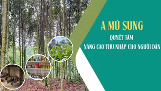 A Mú Sung quyết tâm nâng cao thu nhập cho người dân
