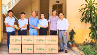 Tiếp nhận 160 kg hạt giống rau hỗ trợ nông dân khôi phục sản xuất sau bão