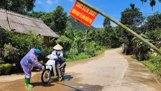 13 xã, phường khống chế được bệnh dịch tả lợn châu Phi