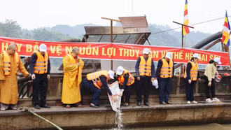 Thả cá phóng sinh tái tạo nguồn lợi thủy sản trên sông Hồng