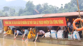 Thả 23 nghìn con cá giống tái tạo nguồn lợi thủy sản trên sông Hồng