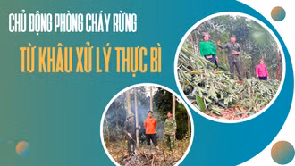 Chủ động phòng cháy rừng từ khâu xử lý thực bì