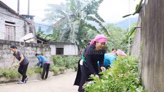 Toàn tỉnh có 50 xã đạt chuẩn tiêu chí môi trường