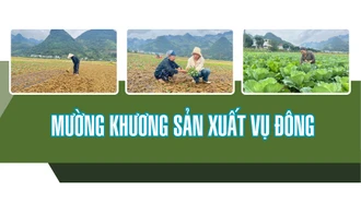 Mường Khương sản xuất vụ đông