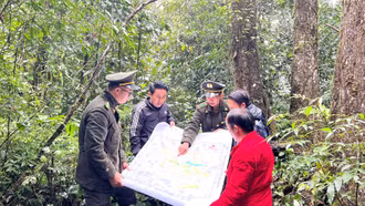 [Ảnh] Ngày cuối năm của những người “giữ rừng”