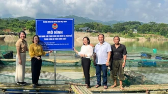 Bàn giao giống, vật tư cho các hộ tham gia mô hình nuôi cá trắm cỏ trong lồng bè tại huyện Bảo Yên