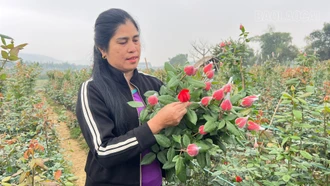 Mồng 2 Tết, nông dân rộn ràng ra đồng khai xuân