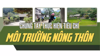 Chung tay thực hiện tiêu chí môi trường nông thôn