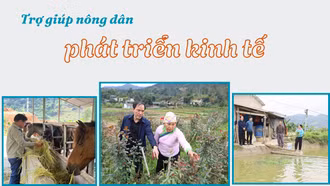 Trợ giúp nông dân phát triển kinh tế