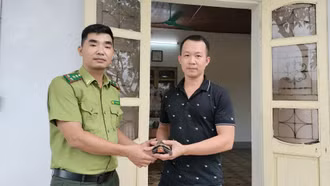 Người dân tự nguyện giao nộp cá thể rùa hộp trán vàng