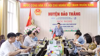 Bảo Thắng: Thêm 10 sản phẩm đạt chuẩn OCOP 3 sao