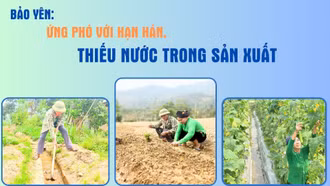 Bảo Yên: Ứng phó với hạn hán, thiếu nước trong sản xuất