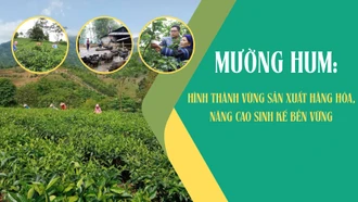 Mường Hum: Hình thành vùng sản xuất hàng hóa, nâng cao sinh kế bền vững