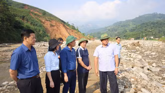 Thứ trưởng Bộ Nông nghiệp và Phát triển nông thôn Trần Thanh Nam kiểm tra công tác khắc phục hậu quả cơn bão số 3 tại Lào Cai