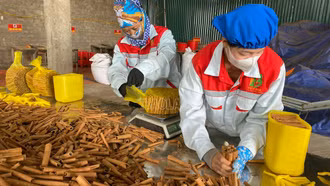 Thu hút đầu tư mới và nâng cấp 8 cơ sở chế biến nông, lâm sản