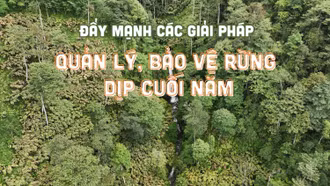 Đẩy mạnh các giải pháp quản lý, bảo vệ rừng dịp cuối năm
