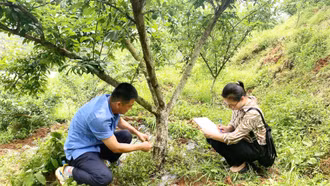 Công nhận 5 vườn cây đầu dòng phục vụ nhân giống cây ăn quả ôn đới