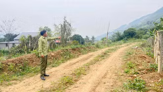 Trưởng thôn tận tâm, gần dân, hiểu dân