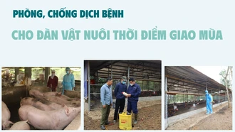 Phòng, chống dịch bệnh cho đàn vật nuôi thời điểm giao mùa