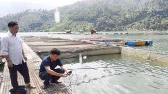 Tăng cường quan trắc, cảnh báo môi trường trong nuôi thủy sản