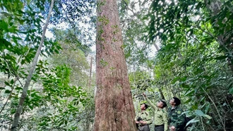 Phê duyệt Đề án Du lịch sinh thái, nghỉ dưỡng, giải trí Khu Bảo tồn thiên nhiên Hoàng Liên - Văn Bàn