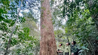 Phê duyệt Đề án Du lịch sinh thái, nghỉ dưỡng, giải trí Khu Bảo tồn thiên nhiên Hoàng Liên - Văn Bàn