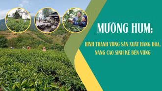 Mường Hum: Hình thành vùng sản xuất hàng hóa, nâng cao sinh kế bền vững