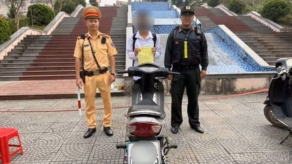 baolaocai-br_1792229212993-1066408066237417035-1066408066237417035-9df0d9f763227a26b63d5fd4753e53be-1494.jpg