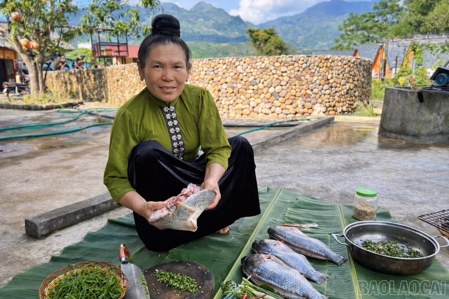 baolaocai-br_chatgpt-image-23-43-59-2-thg-3-2026.png