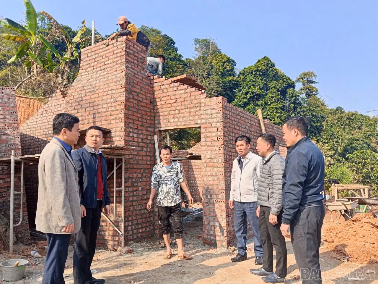 baolaocai-br_z7459296363308-8f163025e3852ead277add3205b55284.jpg