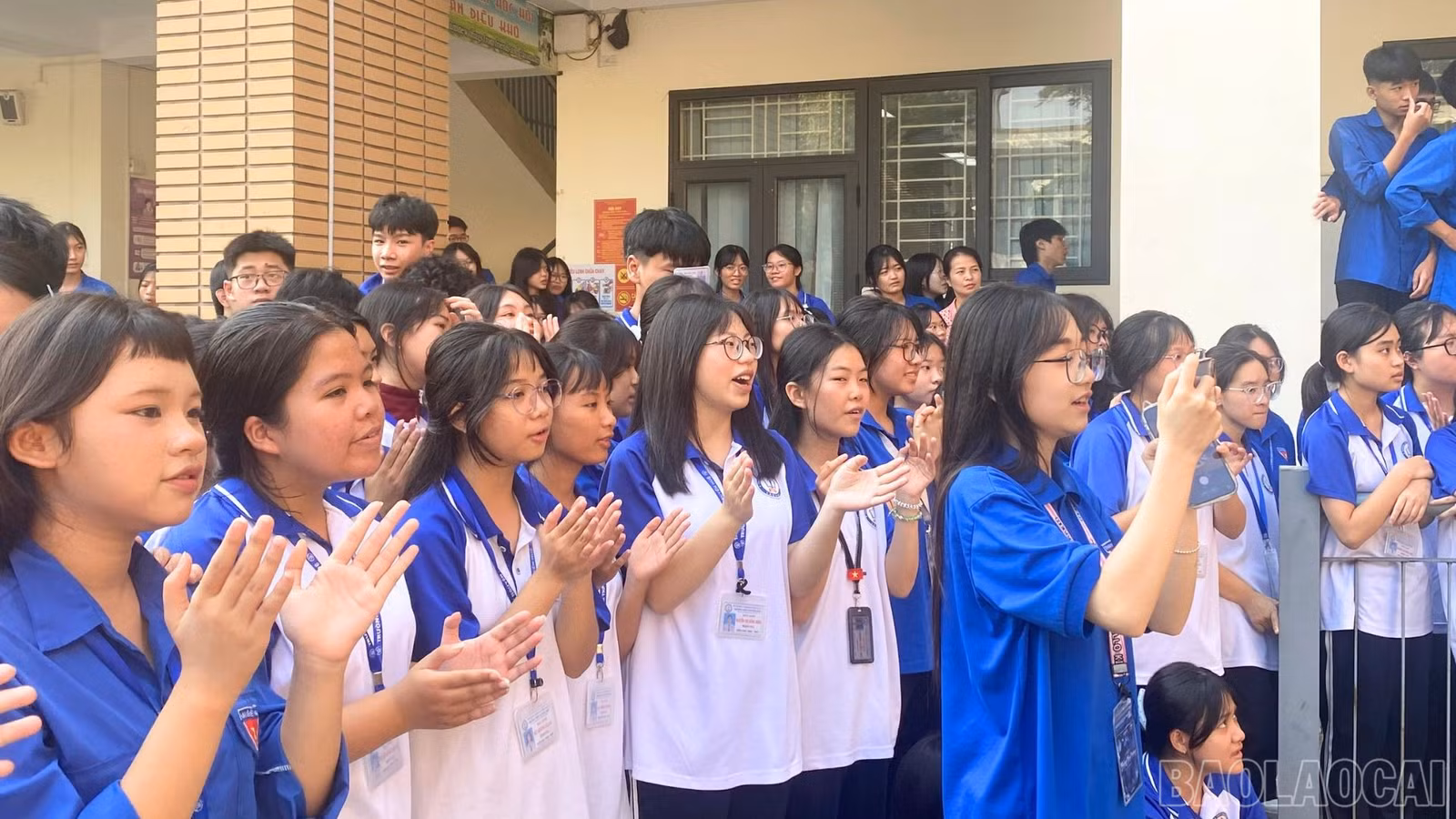 baolaocai-br_8.jpg