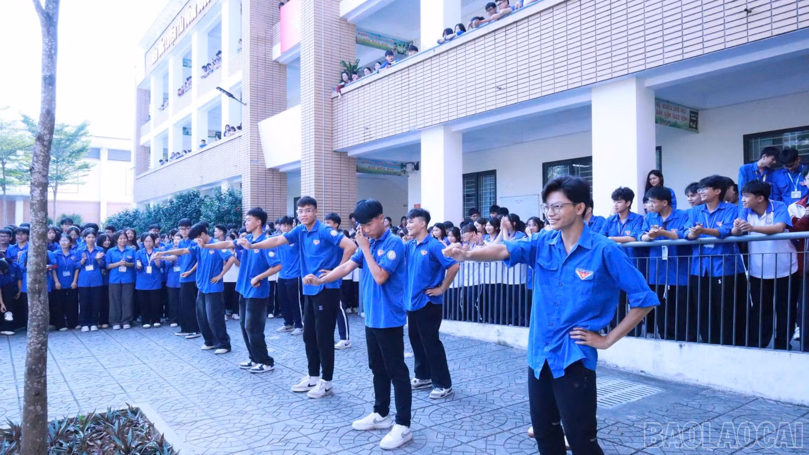 baolaocai-br_7.jpg