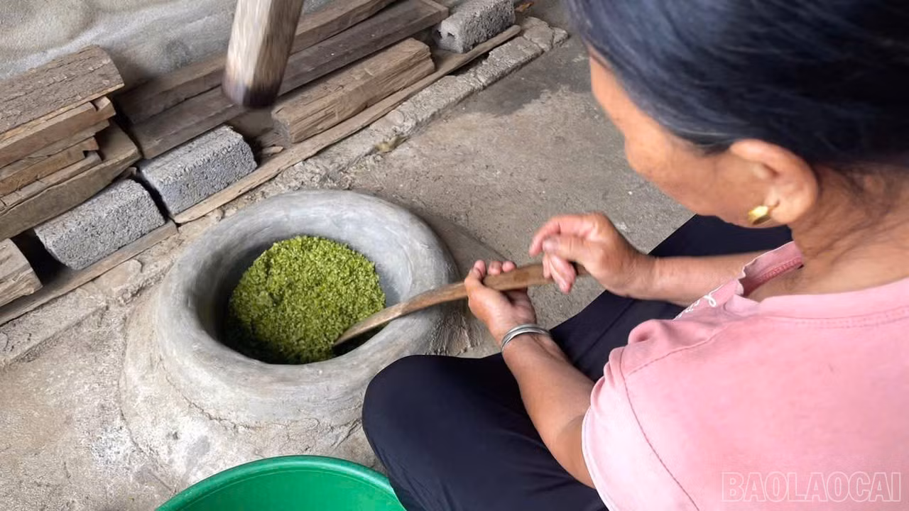 baolaocai-br_1787044602078-1564226185223742514-1844561594075513886-1d24c30afff2508c89d26ca4df713d1e.jpg