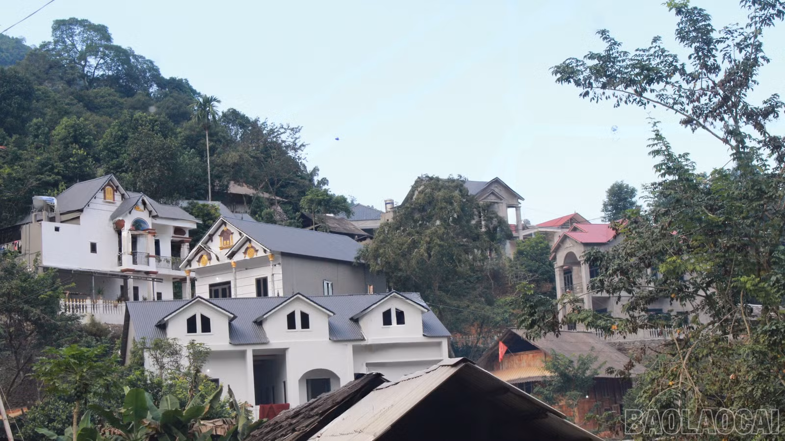 baolaocai-br_thiet-ke-chua-co-ten-11.png