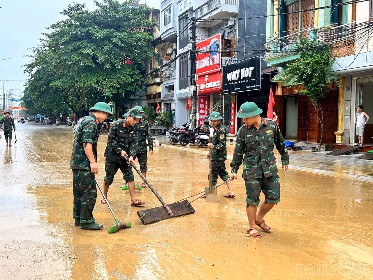 baolaocai-br_z7070010576399-9abebb3ad94e163ad920c5a4b8f1472f.jpg