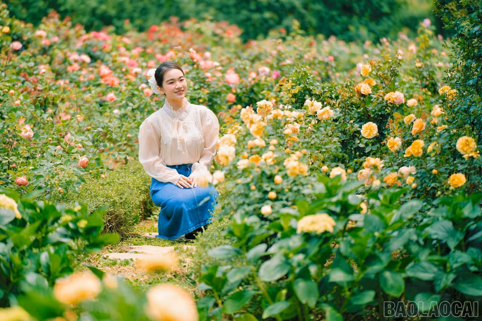baolaocai-br_img-5088.jpg