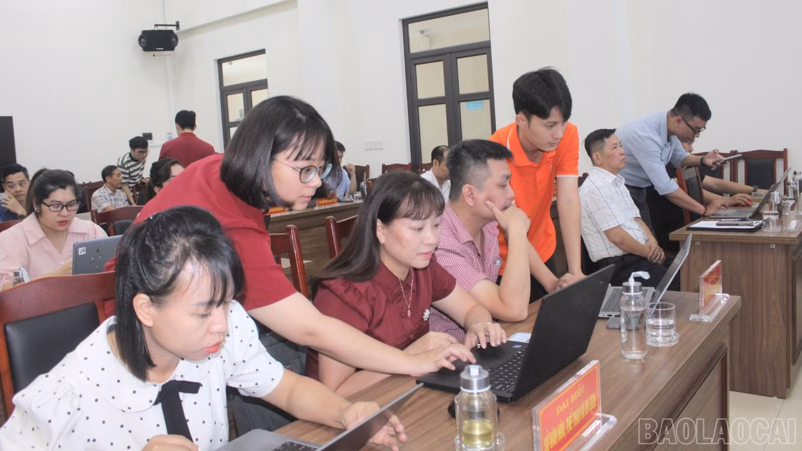 baolaocai-br_3.jpg