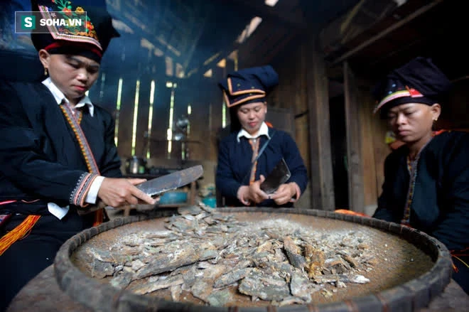 Thót tim nhìn người nhện đu dây tìm hái “lộc Phật” trên đỉnh Hoàng Liên Sơn - Ảnh 9. Thót tim nhìn người nhện đu dây tìm hái “lộc Phật” trên đỉnh Hoàng Liên Sơn - Ảnh 9.