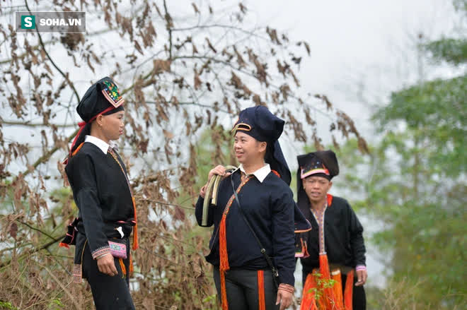 Thót tim nhìn người nhện đu dây tìm hái “lộc Phật” trên đỉnh Hoàng Liên Sơn - Ảnh 10. Thót tim nhìn người nhện đu dây tìm hái “lộc Phật” trên đỉnh Hoàng Liên Sơn - Ảnh 10.