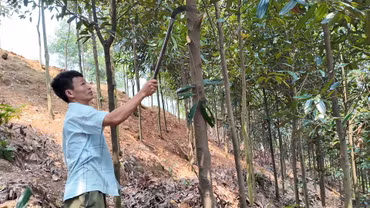 Mô hình kinh tế mở hướng thoát nghèo ở Hợp Thành