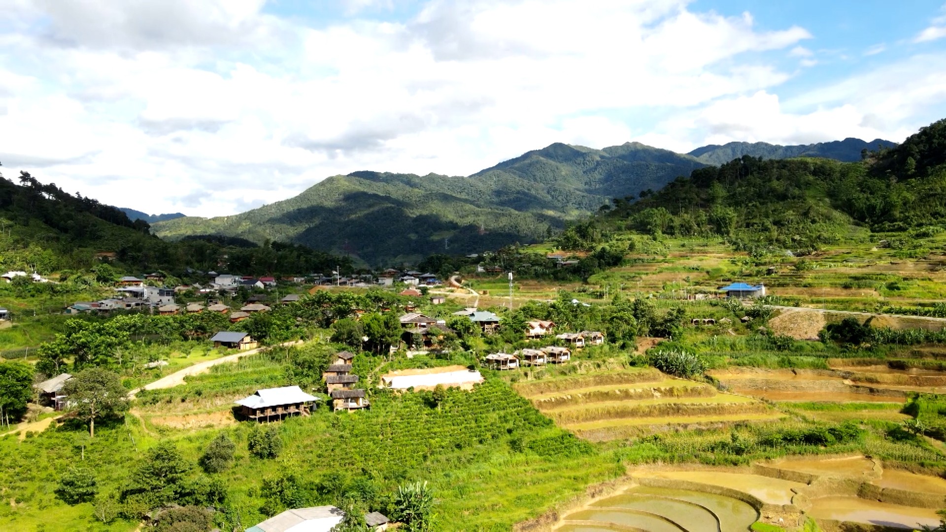 Cuộc sống khởi sắc của đồng bào các dân tộc thiểu số Lào Cai từ những phong trào thi đua yêu nước. a-son.jpg
