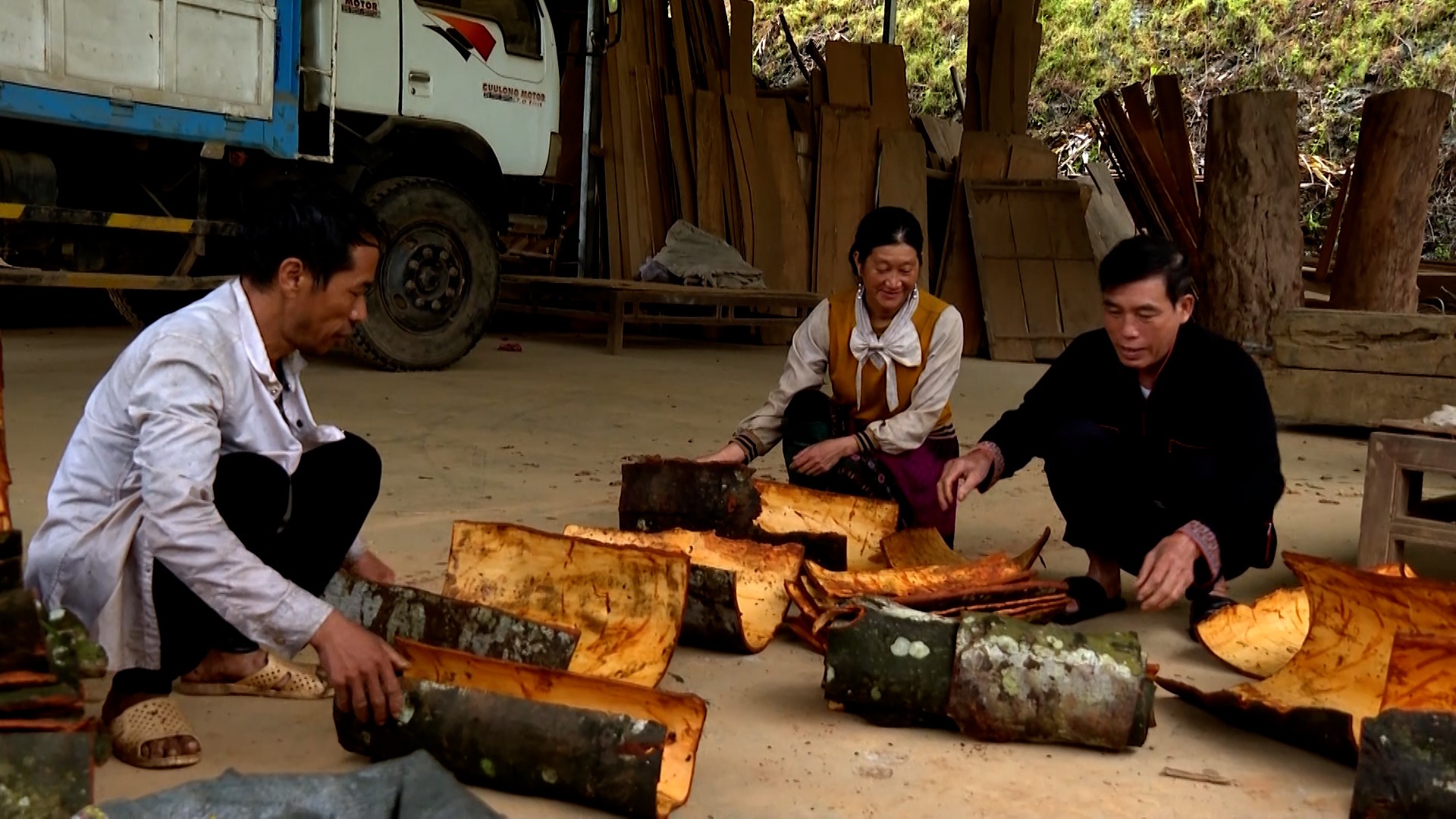 Thu mua quế ở thôn Thác Tiên, xã Mỏ Vàng. thu-mua-que.jpg