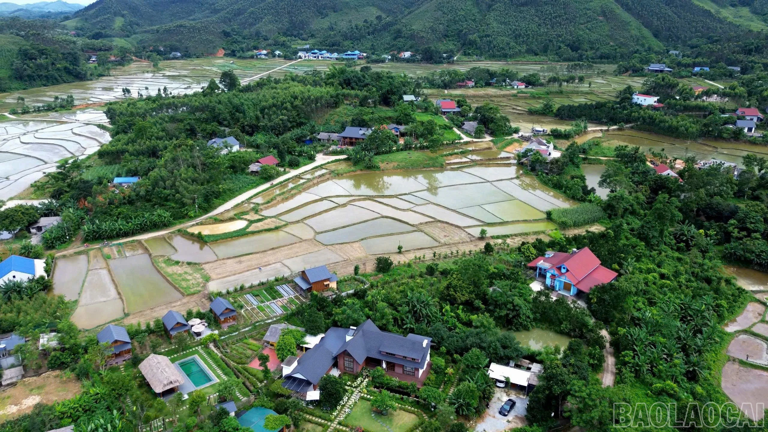baolaocai-br_1792493582696156198.jpg