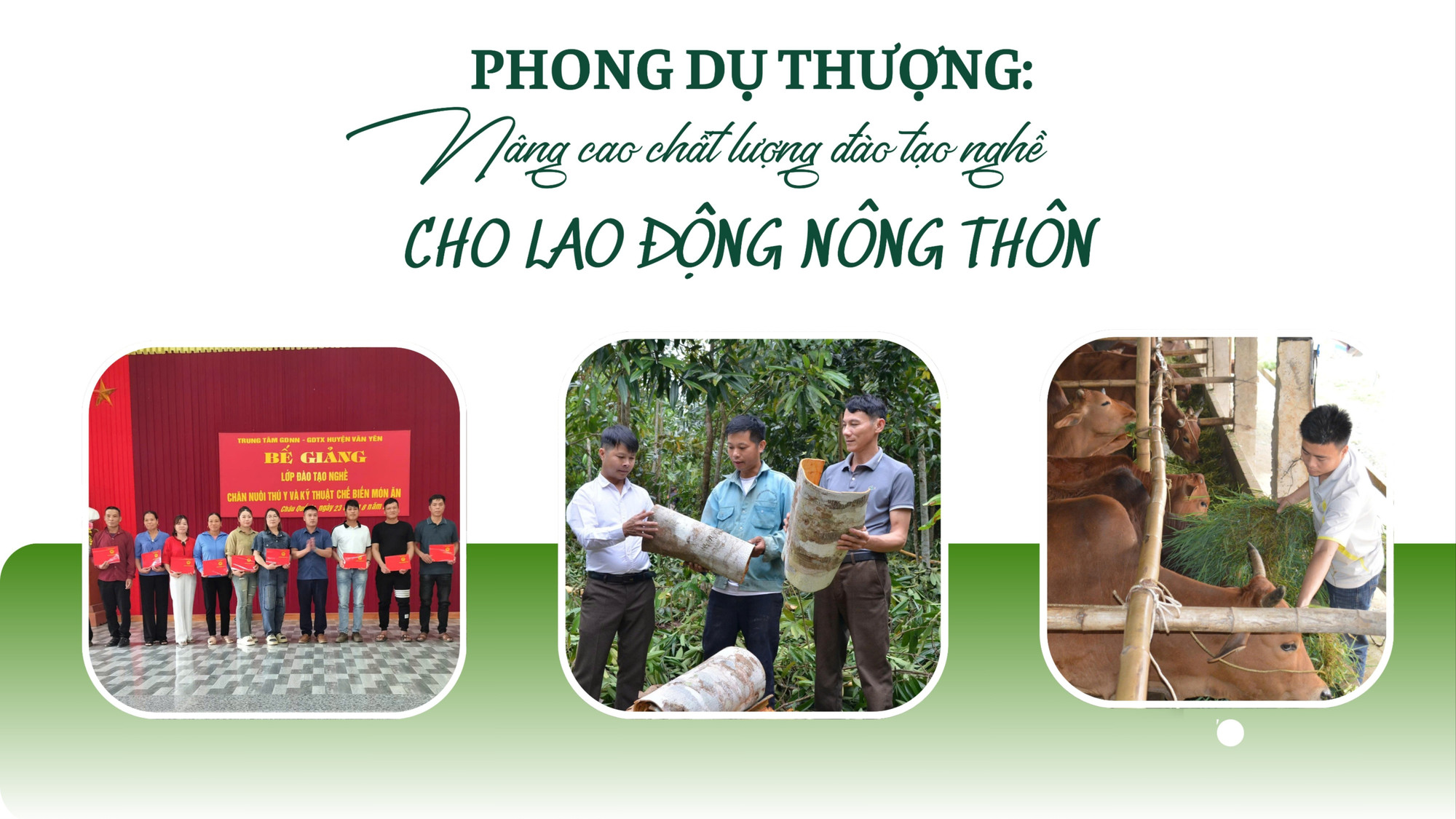 Phong Dụ Thượng: Nâng cao chất lượng đào tạo nghề cho lao động nông thôn