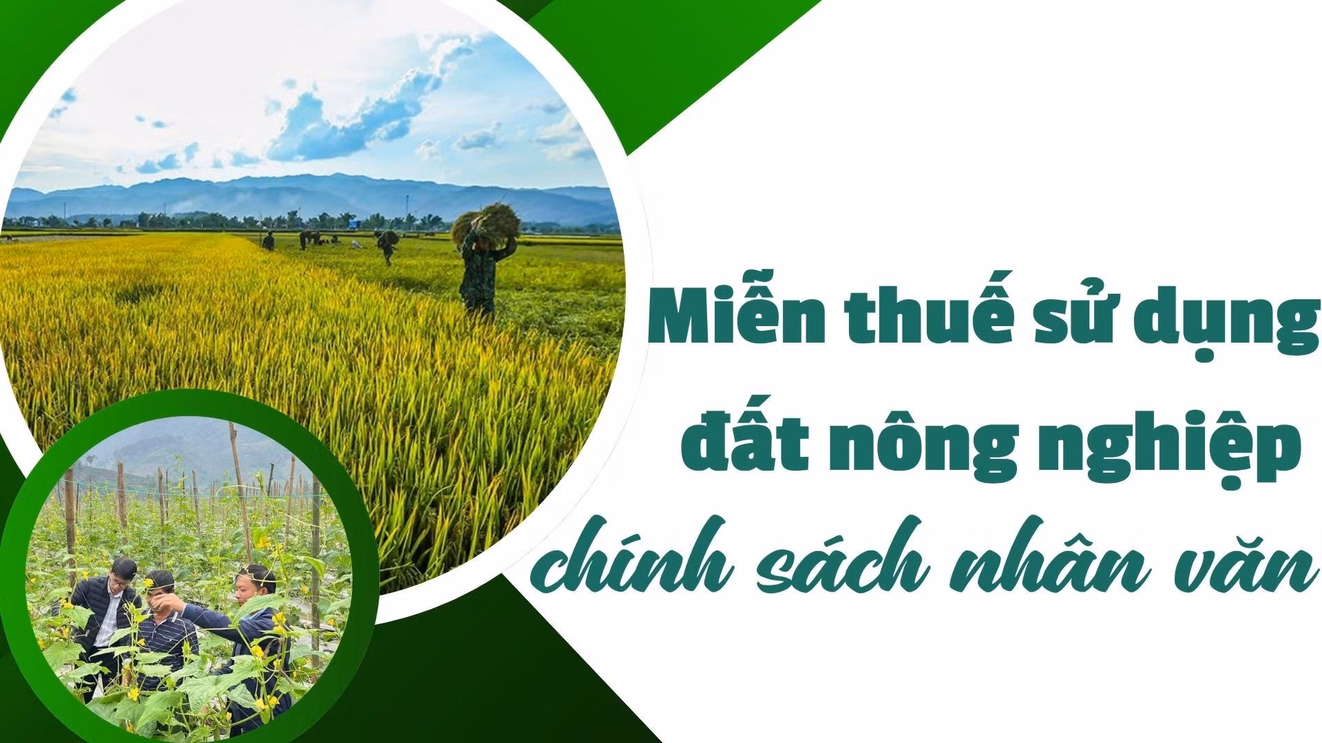 Miễn thuế sử dụng đất nông nghiệp chính sách nhân văn 