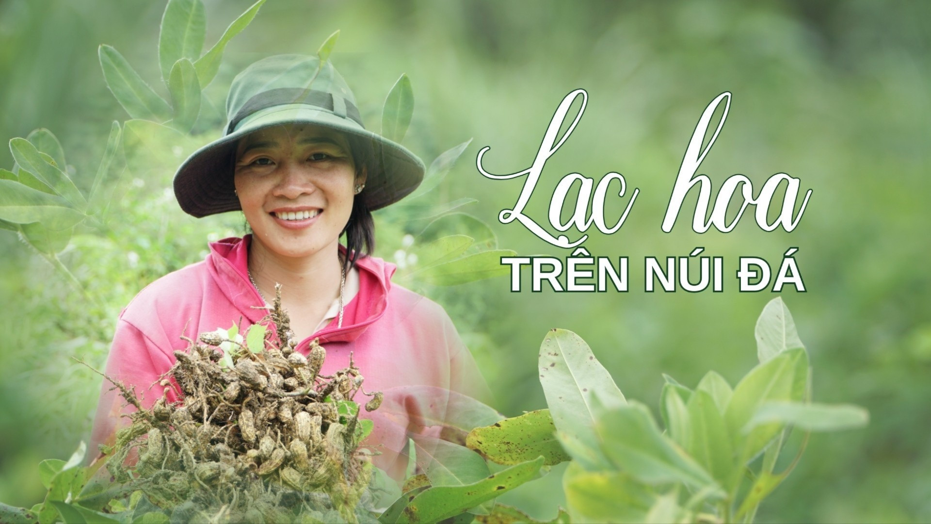 Lạc hoa trên núi đá