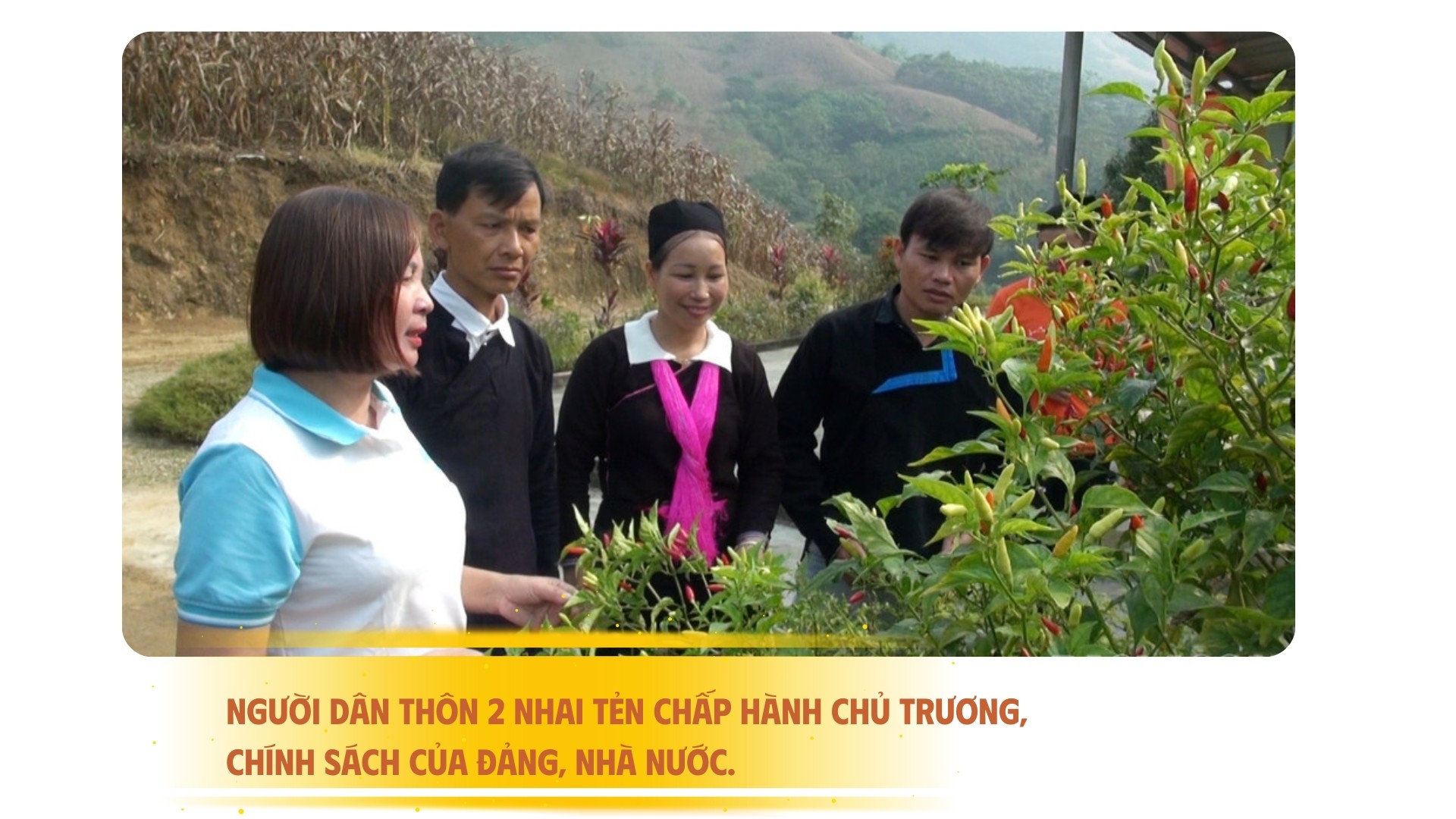 trien-vong-20250626-231409-0000.jpg