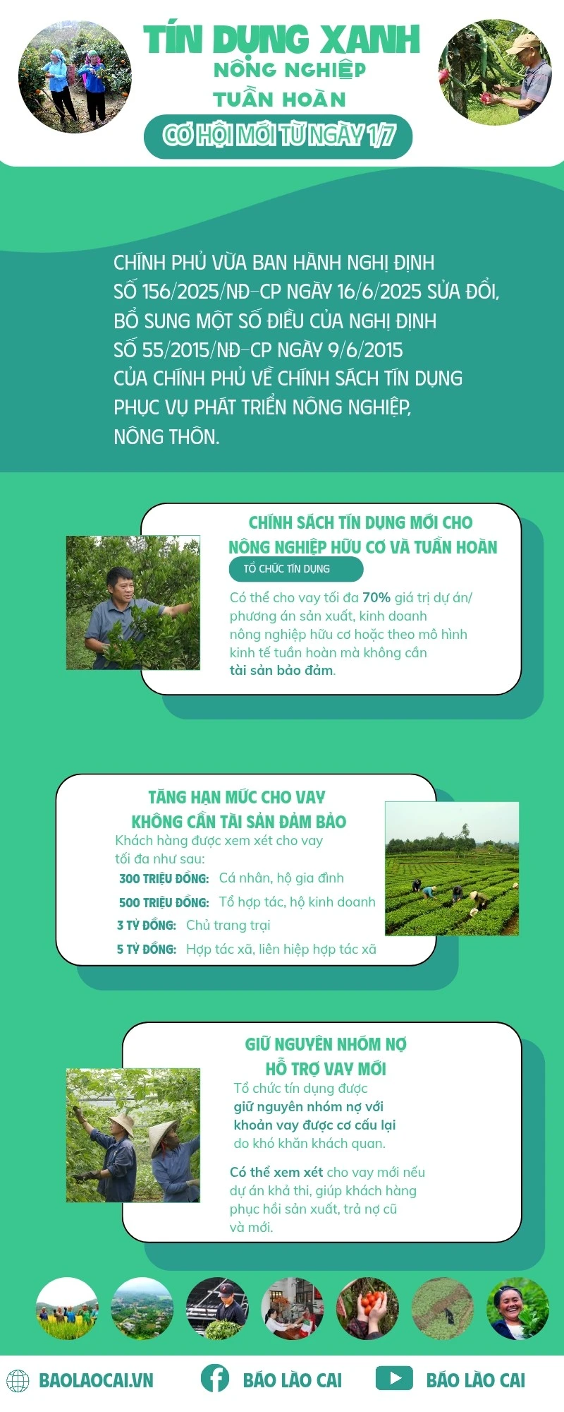 infographic-cham-soc-giac-ngu-meo-cham-soc-giac-ngu-khung-duong-ke-manh-den-20250623-104038-0000.jpg