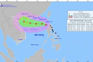 Thủ tướng chỉ đạo khẩn trương triển khai ứng phó bão số 3